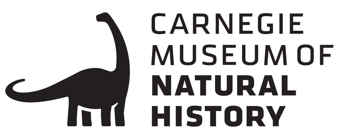 CMNH_PRIMARY_RELATIONSHIP CMNH_PRIMARY_RELATIONSHIP
